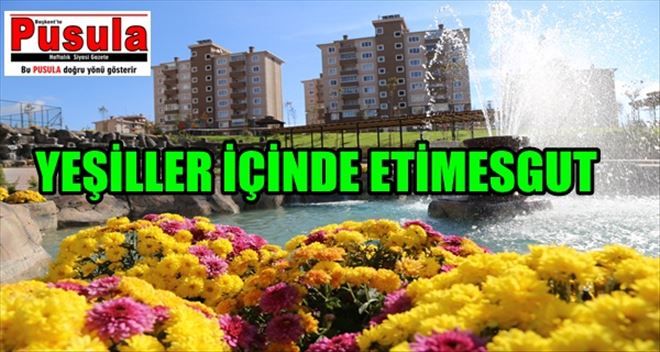 Park ve Bahçeler Müdürlüğünün 2015 deki çalışmaları