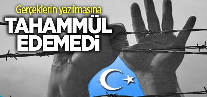 Çin gerçeklerin yazılmasına dayanamadı