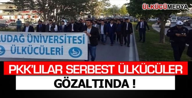 PKK´LILAR SERBEST ÜLKÜCÜLER GÖZALTINDA !