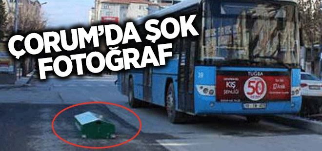 Yol ortasındaki tabut görenleri şaşkına çevirdi