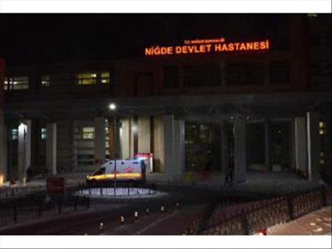 Niğde´de Domuz Gribi Şüphesi