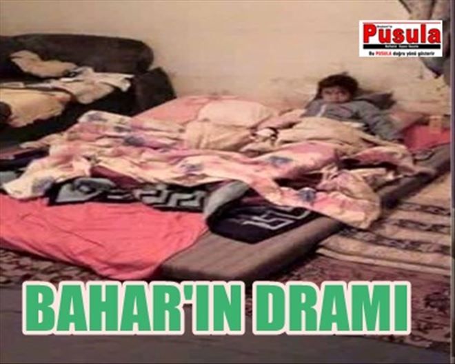 BAHAR´A YENİYIL PİYANGOSU