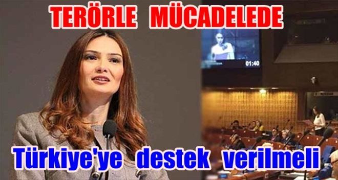 Paşayeva AKPM´nde haykırdı: Terörle mücadelede Türkiye´ye destek vermelisiniz!