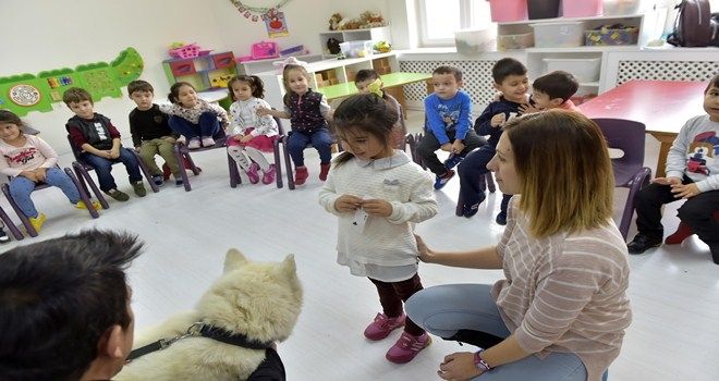 Sokak hayvanlarına karşı bilinçlendiler