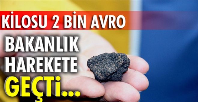 Türkiye´den trüf atağı