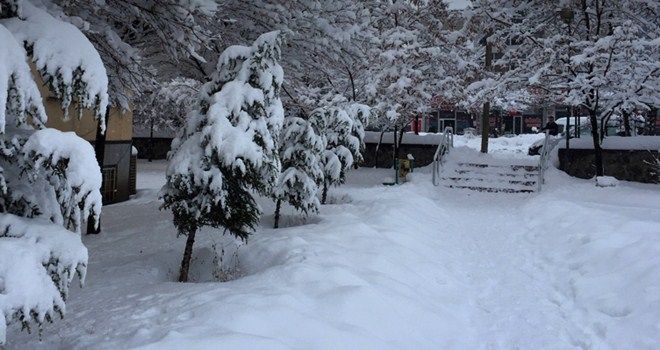 Kar yağışı nedeniyle 5 ilde eğitime ara verildi