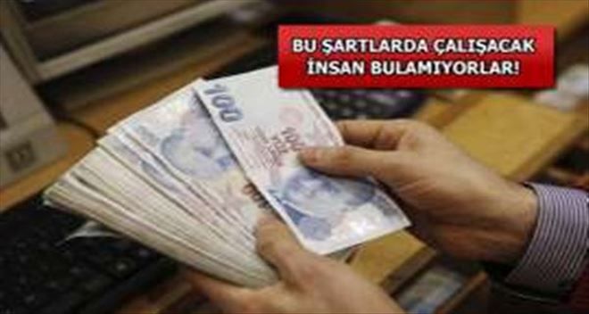 Ayda 70 bin TL maaş, yılda 3 ay izin!