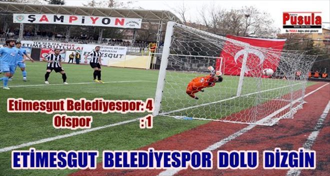 DÖRT DÖRTLÜK ETİMESGUT