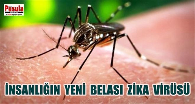 ZİKA VİRÜSÜNDE YENİ ŞÜPHE