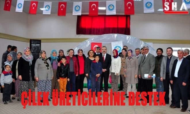 BÜYÜKŞEHİR´DEN ÇİLEK ÜRETİCİSİNE DESTEK
