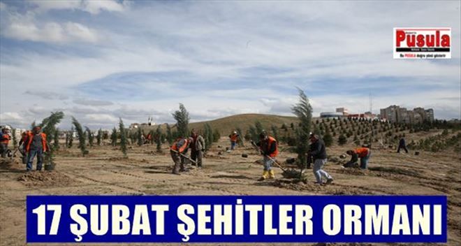 ETİMESGUT´TA 17 ŞUBAT ŞEHİTLERİNİN ANISINA HATIRA ORMANI KURULUYOR