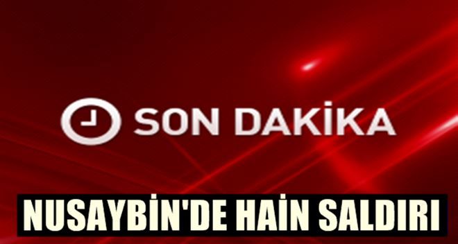 Nusaybin´de 1´i polis, 1´i asker şehit