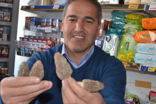 Kuzu Göbeği Mantarı Orman Köylüsünün Geçim Kaynağı