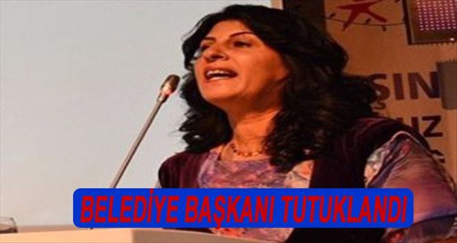 Nusaybin Belediye Başkanı tutuklandı