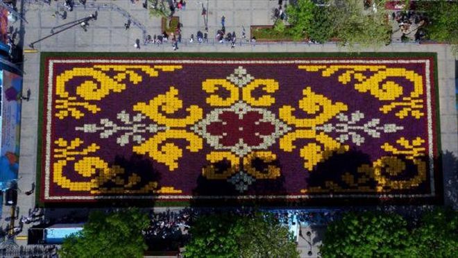Canlı Lale Halısı Sultanahmet Meydanı´nda Ziyarete Açıldı