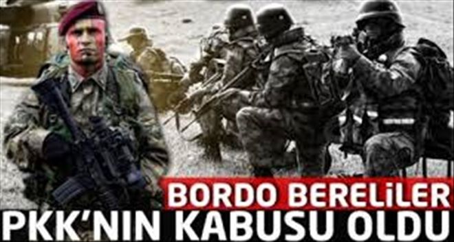 Bordo Bereliler Sahneye Çıktı: 9 PKK´lı Öldü
