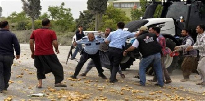 Çiftçi isyan etti: Haram olsun AKP´ye verdiğim oy!