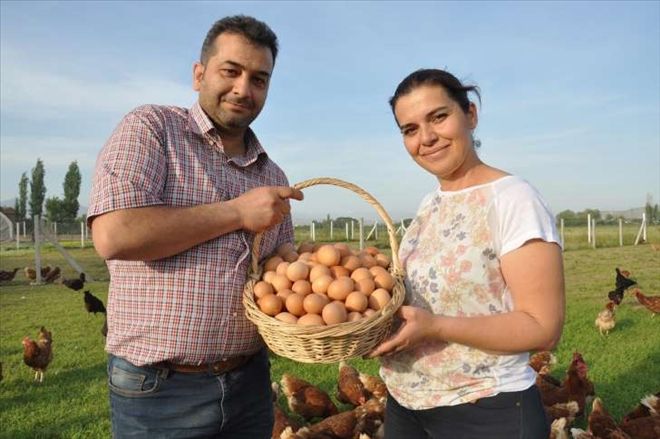 2 kardeş 3 tavukla girdiği işte markalaştı