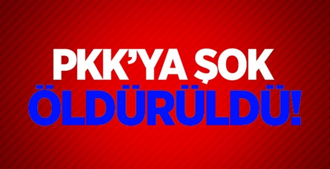 14 Yıldır Eylem Planlayan Terörist Öldürüldü