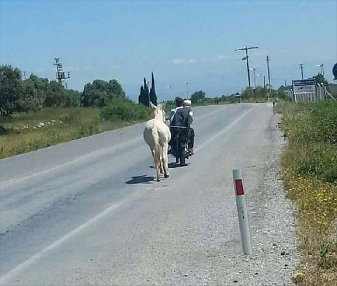 MOTOSİKLETE BAĞLADIKLARI ATA KARAYOLUNDA EZİYET