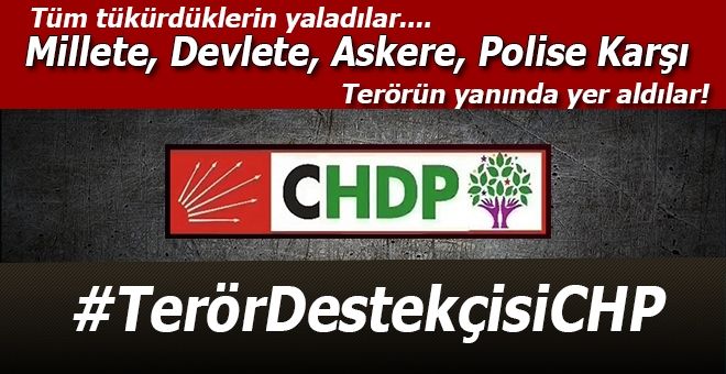 Tükürdükleri herşeyi yaladılar; 