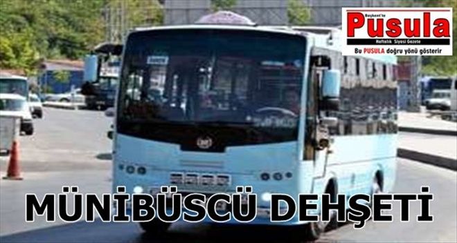 Yolcuları yolda indirip karısını öldürmeye gitti