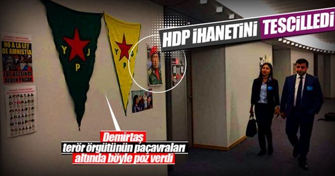 Avrupa´dan teröre açık destek!