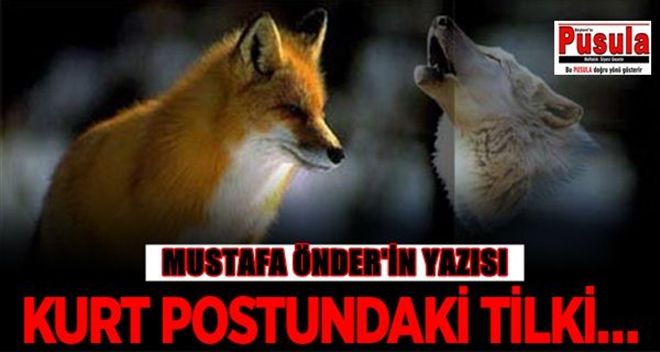 KURT POSTUNDAKİ TİLKİ?