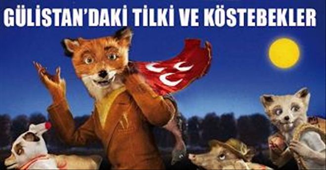 GÜLİSTAN´DAKİ TİLKİ VE KÖSTEBEKLER