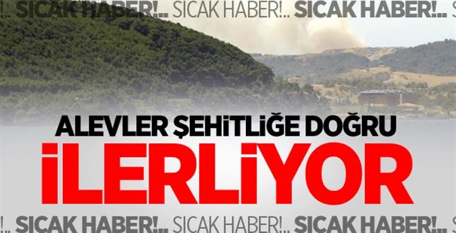 Çanakkale´de orman yangını çıktı