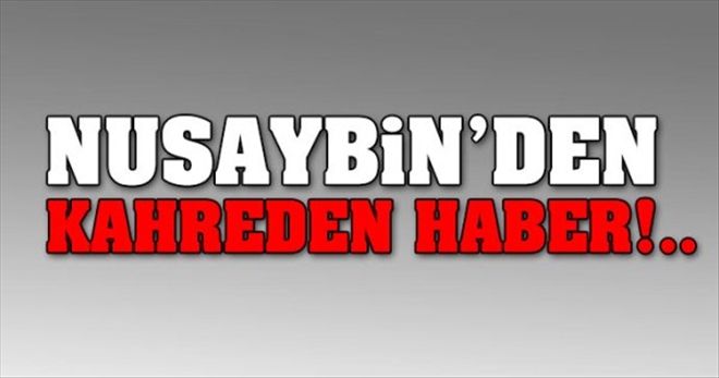 Nusaybin´de 1 Polis Şehit Oldu