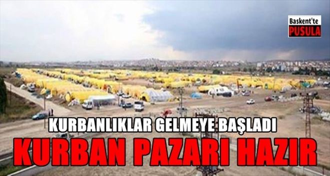 ETİMESGUT´TA KURBAN HAZIRLIKLARI BAŞLADI
