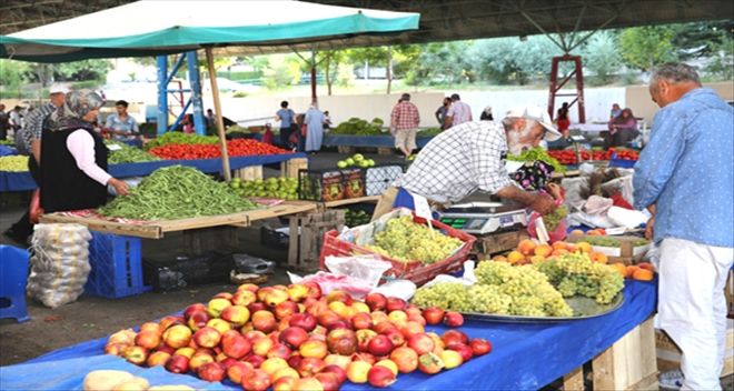 TARLADAN SOFRAYA DOĞAL, TAZE, YERLİ
