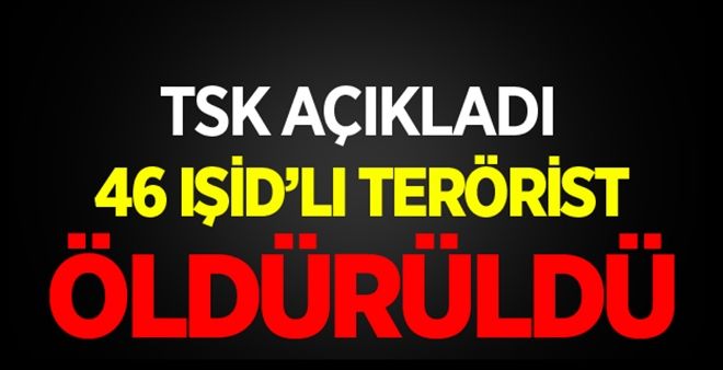 TSK Açıkladı: 46 IŞİD´li öldürüldü