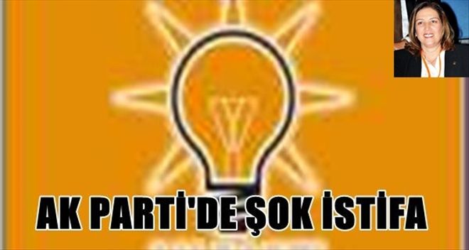 Ak Parti Bodrum İlçe Teşkilatı İstifa Etti