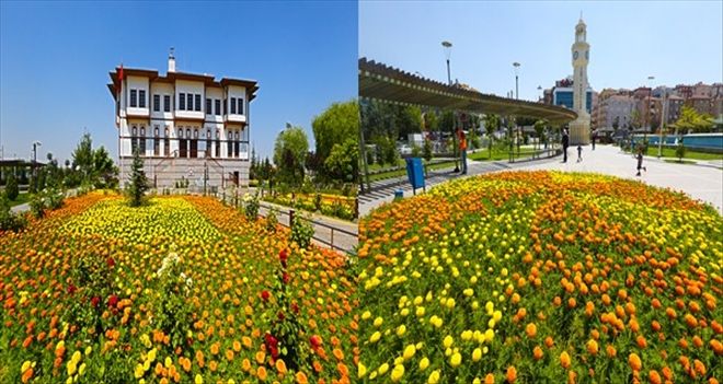 SİNCAN YAZ ÇİÇEKLERİYLE RENKLENDİ 
