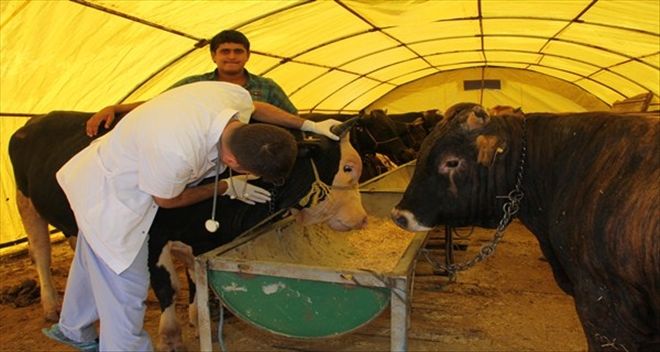 ETİMESGUT BAYRAMA HAZIR