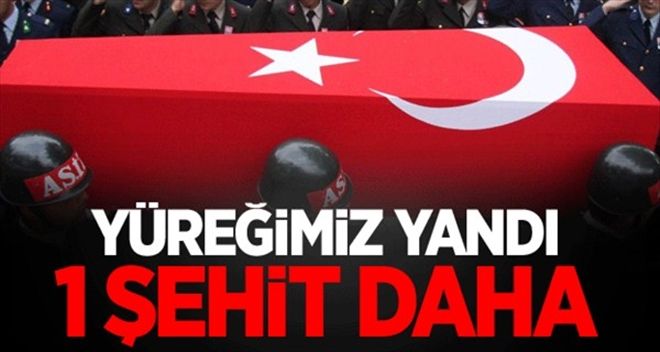 Hakkari Şemdinli´de çatışma: 1 şehit