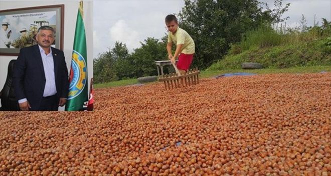 Üreticilere ?Emanete Fındık Bırakmayın´ Uyarısı