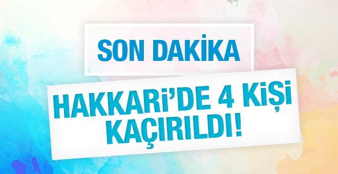 Hakkari´de PKK´lılar yol kesip 4 kişiyi kaçırdı!