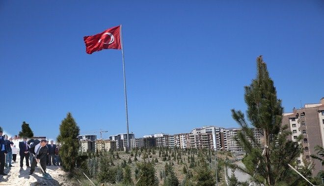ETİMESGUT ORMANLARI