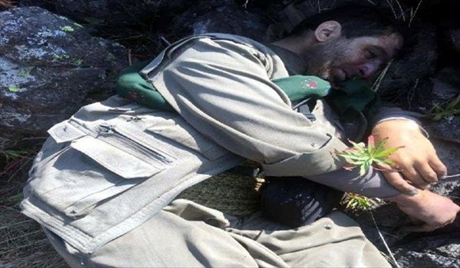 Tendürek´te Çember Daraldı, Pkk ´Bölge Sorumlusu´ Ölü Ele Geçti