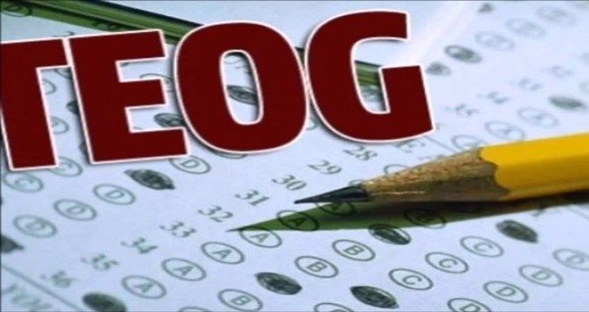 2016 TEOG sonuçları açıklandı