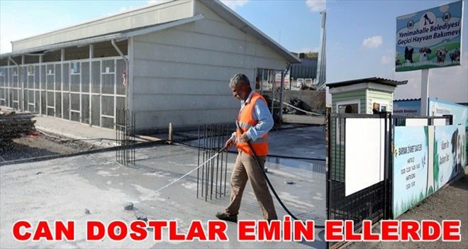 Yenimahalle Hayvan Bakımevi genişliyor