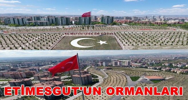 ETİMESGUT´TA 700 DÖNÜMLÜK ORMAN KURULDU
