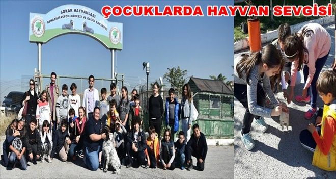 Miniklere hayvan sevgisi aşılandı