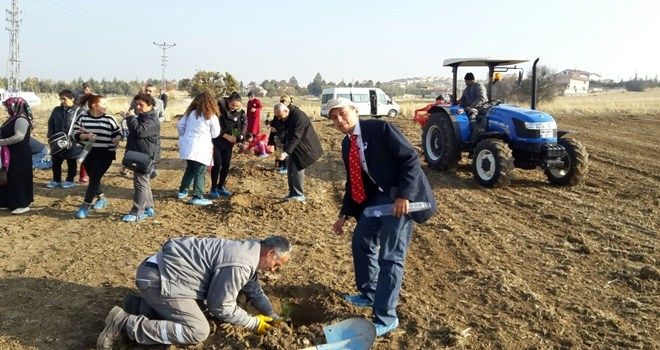 Engelli öğrenciler fidan dikti 