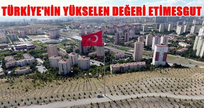 TÜRKİYE´NİN YÜKSELEN DEĞERİ: ETİMESGUT