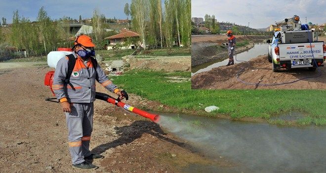 Mamak´ta larva ilaçlaması başlıyor