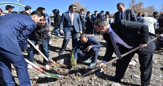 TOKİ ŞEHİTLER ORMANI´NA AĞAÇ DİKİMİ YAPILDI